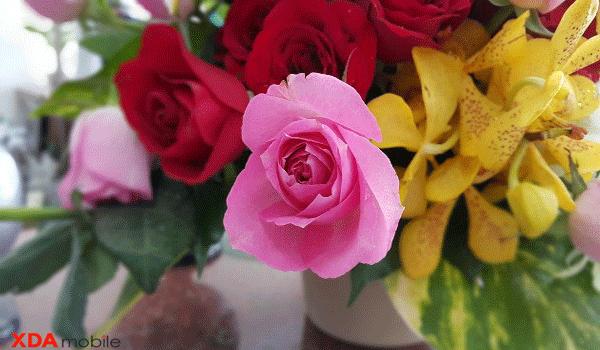 Đánh giá chi tiết camera Sam Sung Galaxy Note 4: Hình ảnh đa màu sắc