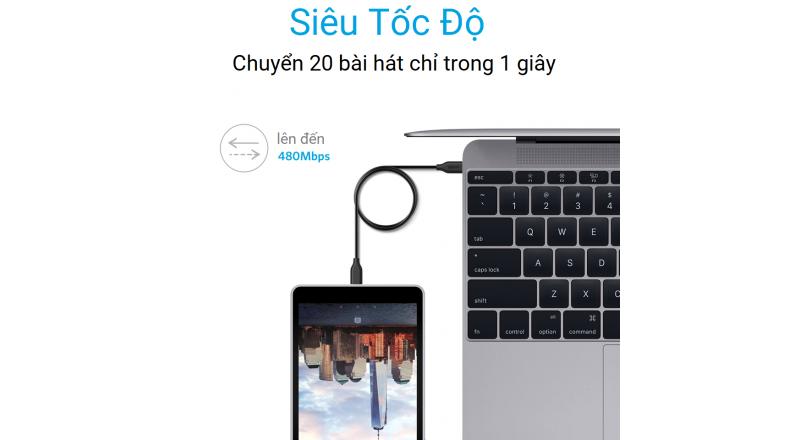 Cáp Anker Powerline USB-C ra USB-C 2.0 - Dài 0.9m - A8181
